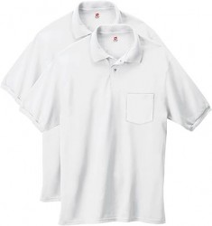 2-Pack Hanes Mens EcoSmart Short-Sleeve Polo Shirts 