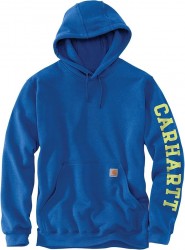 Carhartt Men's Rain Defender Loose Fit Heavyweight Hoodie 