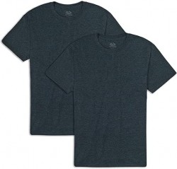  Fruit of the Loom Men's Eversoft Cotton T-Shirt 2-Pack $15 at Amazon