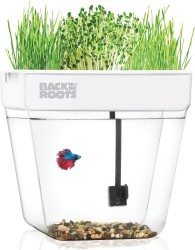 Back to the Roots 3-Gallon Aquaponic Garden 